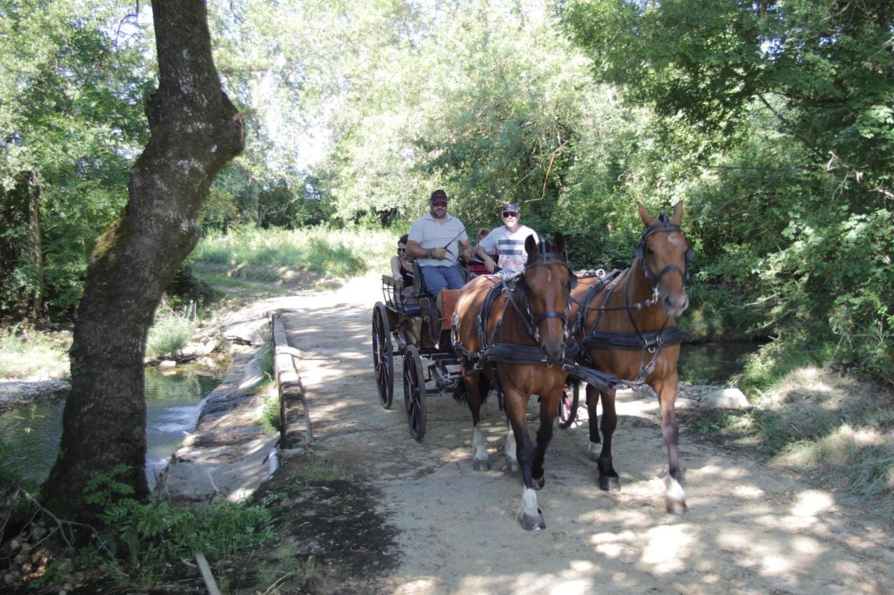 Le Mas De La Coste Saint-Sauveur-de-Cruzieres ภายนอก รูปภาพ