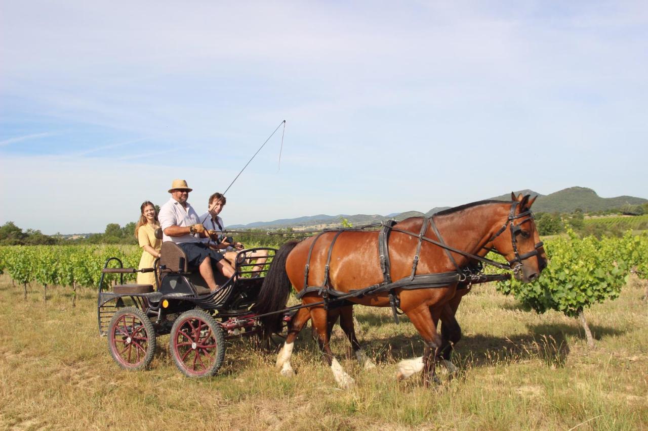 Le Mas De La Coste Saint-Sauveur-de-Cruzieres ภายนอก รูปภาพ